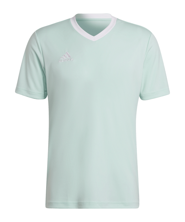 adidas Entrada 22 Trikot Türkis Weiss