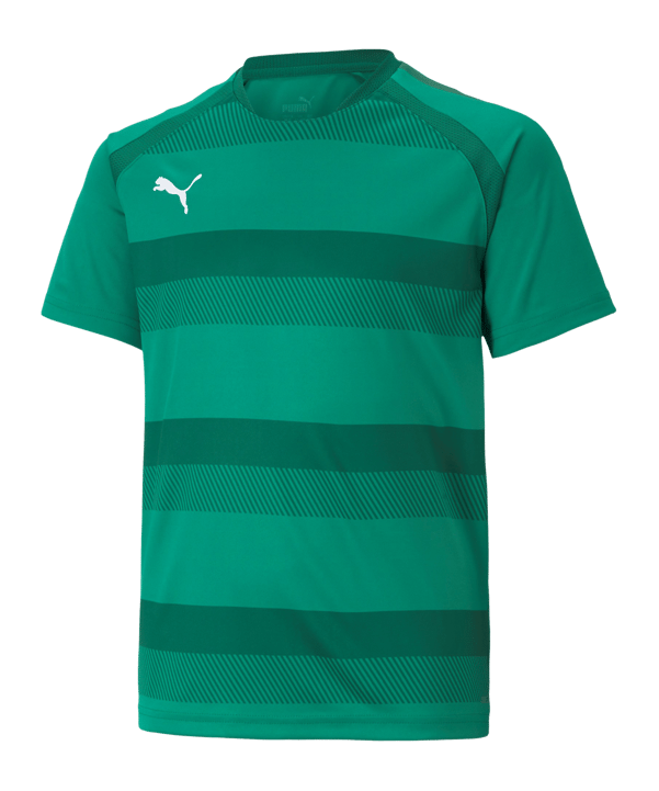 PUMA teamVISION Trikot Kids Grün F05