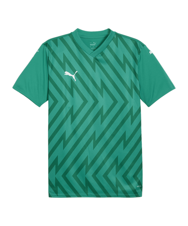 PUMA teamGLORY Trikot Grün Weiss Grün F05