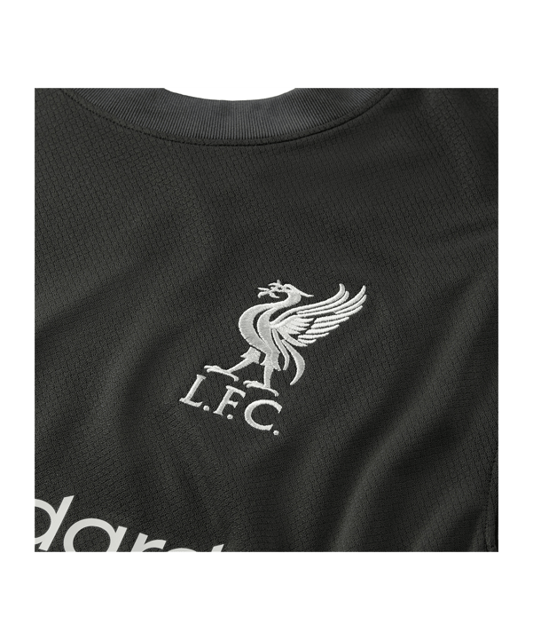 Nike FC Liverpool Trikot Away 2024/2025 Grau F322 - grau
