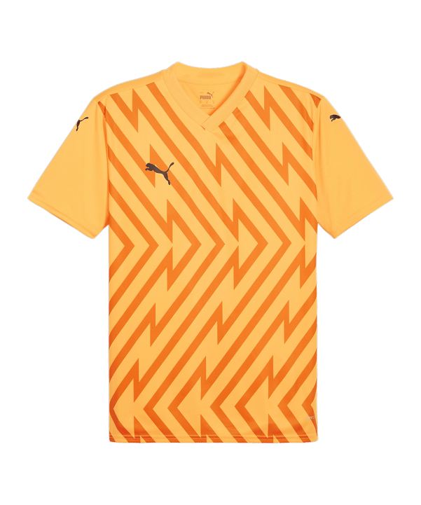 PUMA teamGLORY Trikot Orange Schwarz F61