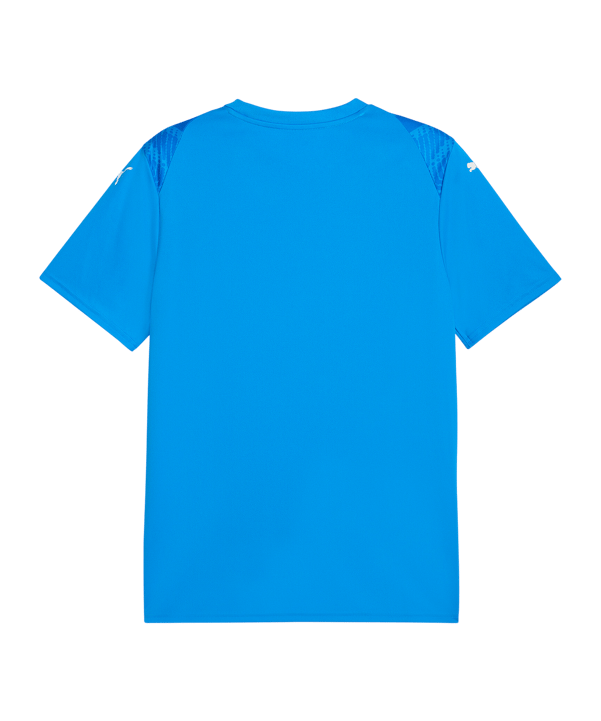 PUMA teamULTIMATE Trikot Blau F02 - blau