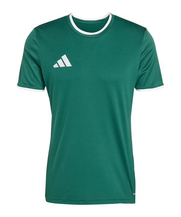 adidas Entrada 26 Trikot Grün 