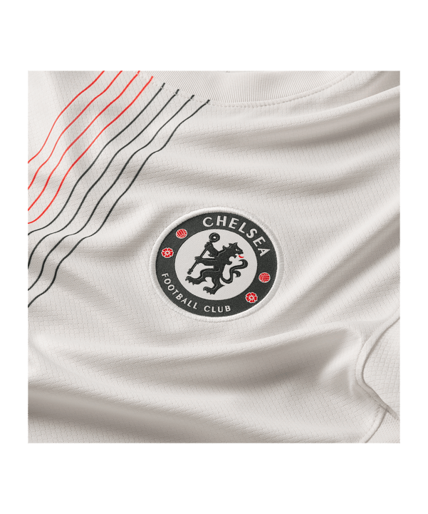 Nike FC Chelsea London Trikot Away 2025/2026 Grau F031 - grau