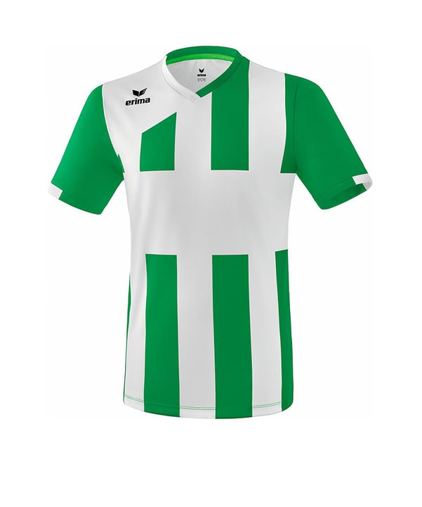 Erima Siena 3.0 Trikot kurzarm Grün Weiss
