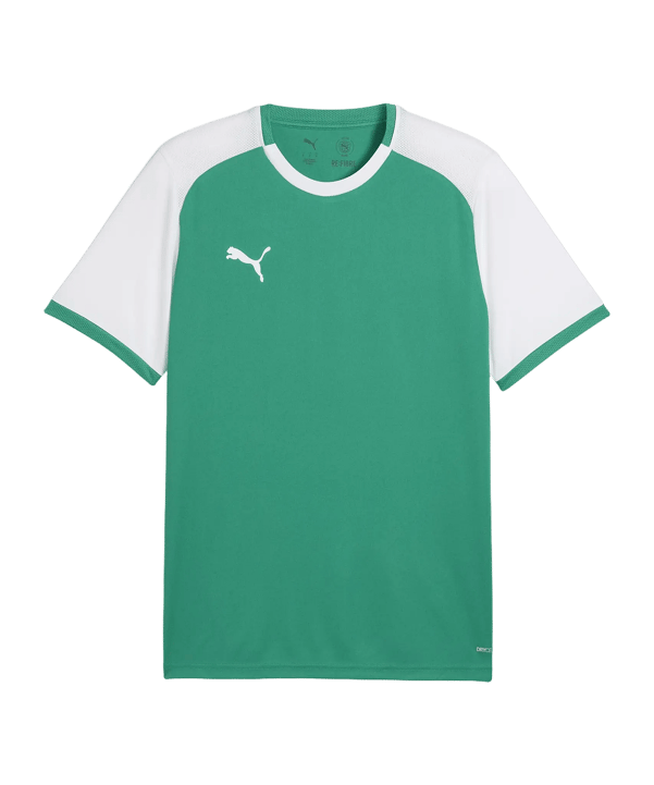 PUMA teamLIGA26 Matchday Trikot Grün F05 