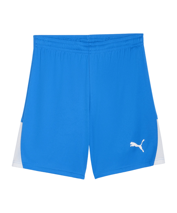 PUMA teamLIGA26 Short Blau F02 