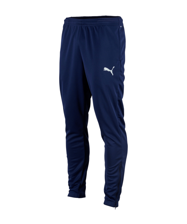 PUMA teamRISE Poly Trainingshose Blau Weiss F06 - blau