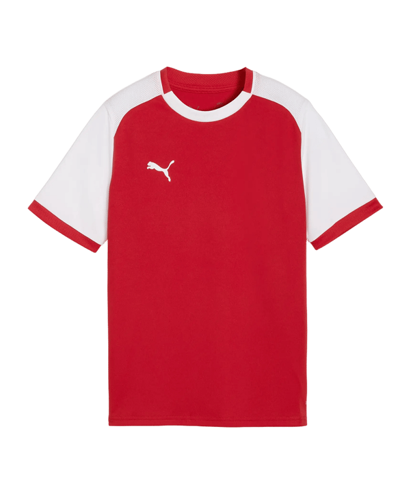 PUMA teamLIGA26 Matchday Trikot Kids Rot F01 