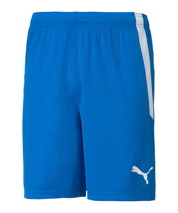 PUMA teamLIGA Short Blau F02