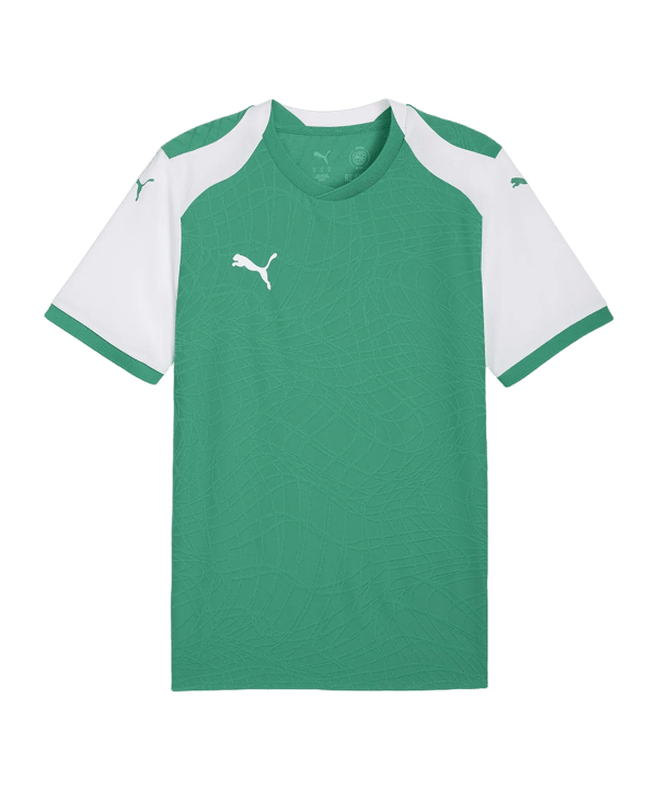PUMA teamFINAL26 Knit Trikot Grün F05 - gruen