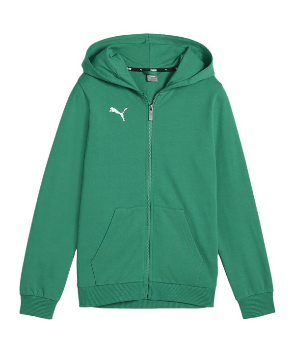 PUMA teamGOAL Casuals Kapuzenjacke Kids Grün F05 