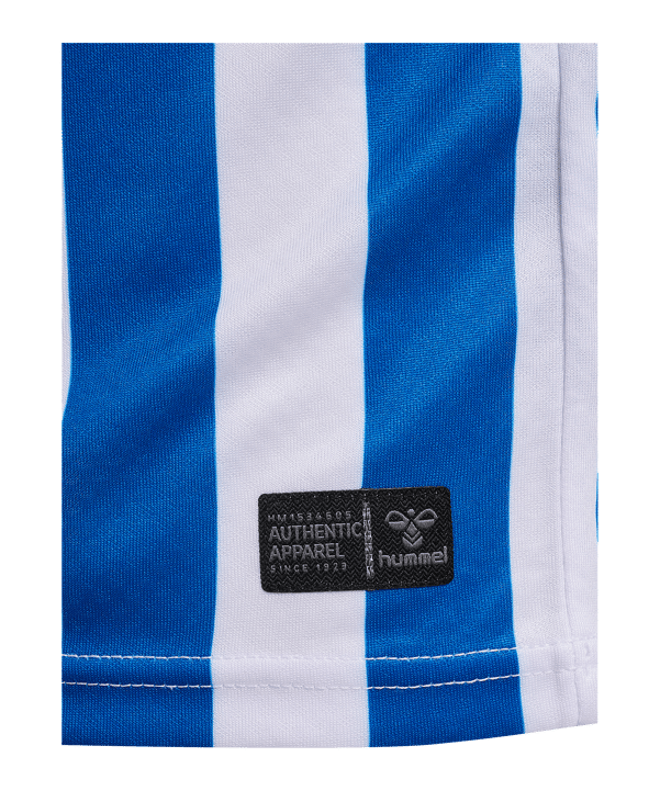 hummel 1. FC Magdeburg Trikot Home 2026/2027 Blau F7251 - blau