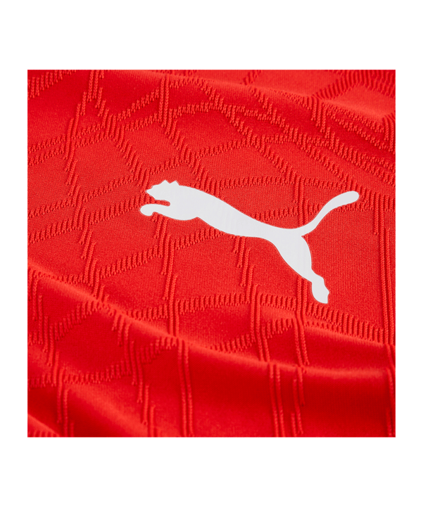 PUMA teamFINAL26 Knit Trikot Rot F01 - rot