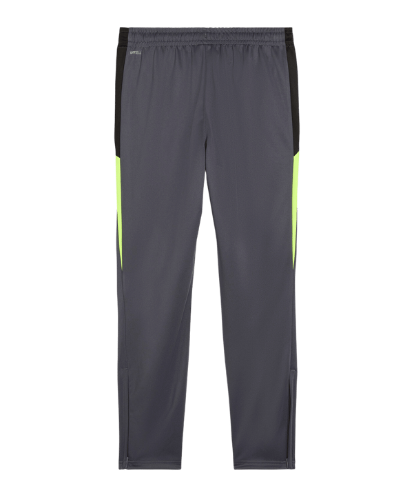 PUMA IndividualLIGA Trainingshose Grau F08 - grau