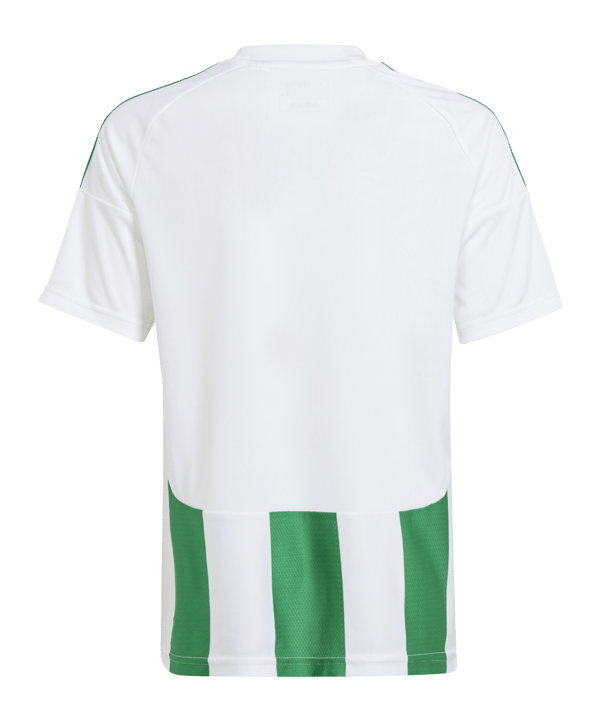 adidas Striped 24 Trikot Kids Weiss Grün - weiss