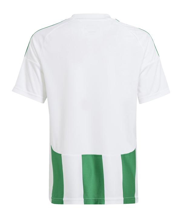 adidas Striped 24 Trikot Kids Weiss Grün - weiss