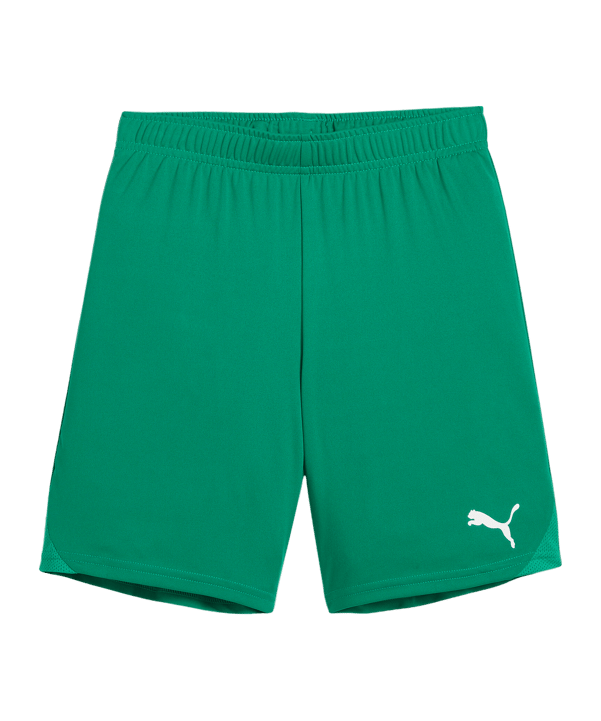 PUMA teamGOAL Short Kids Grün Weiss F05