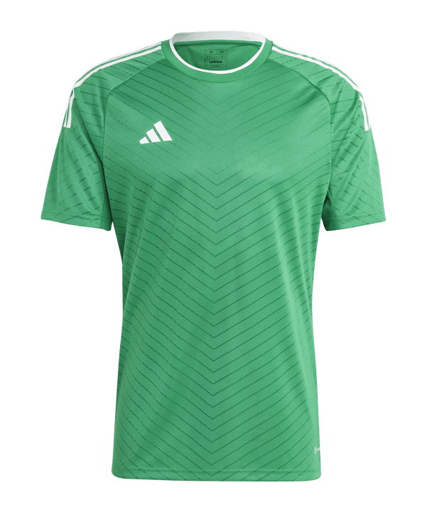 adidas Campeon 23 Trikot Grün