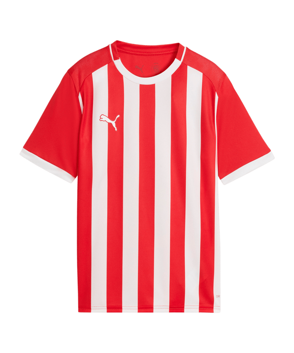 PUMA teamLIGA26 Striped Trikot Kids Rot F01 