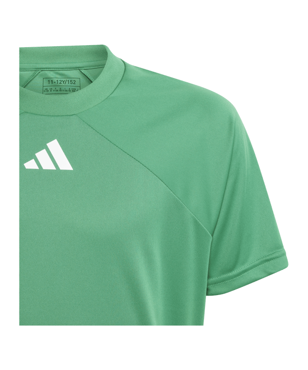 adidas Fortore 23 Trikot Kids Grün Weiss | - gruen