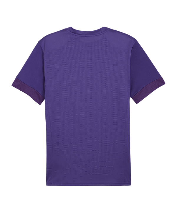 PUMA teamGOAL Matchday Trikot Lila Weiss F10 - lila