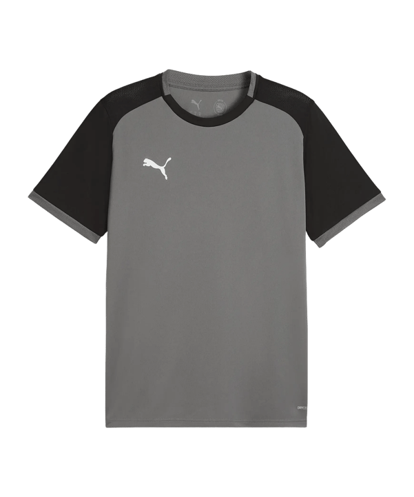 PUMA teamLIGA26 Matchday Trikot Grau F13 