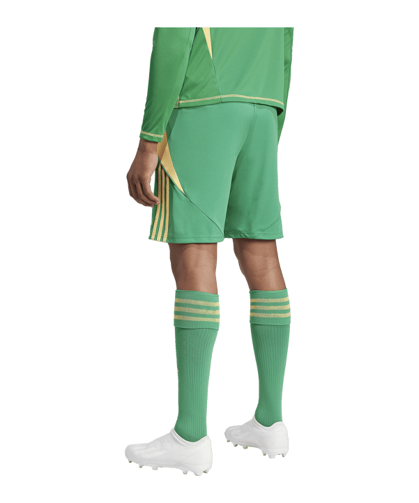 adidas Tiro 24 Short Grün Orange - gruen