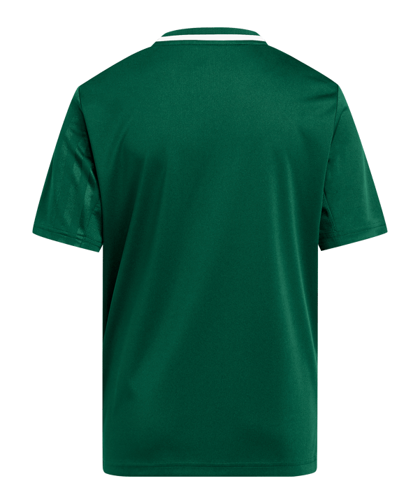 adidas Trikot Kids Grün - gruen