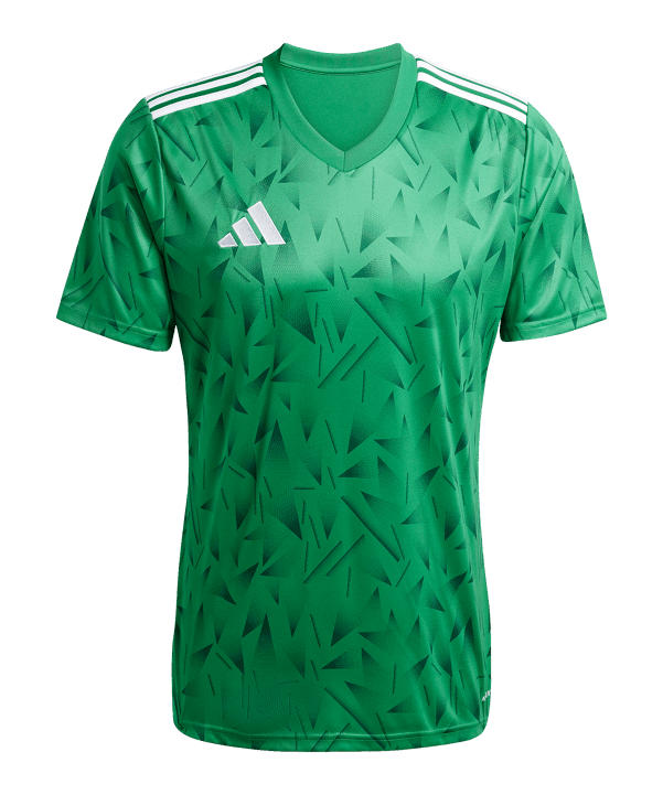 adidas Team Icon 25 Trikot Grün