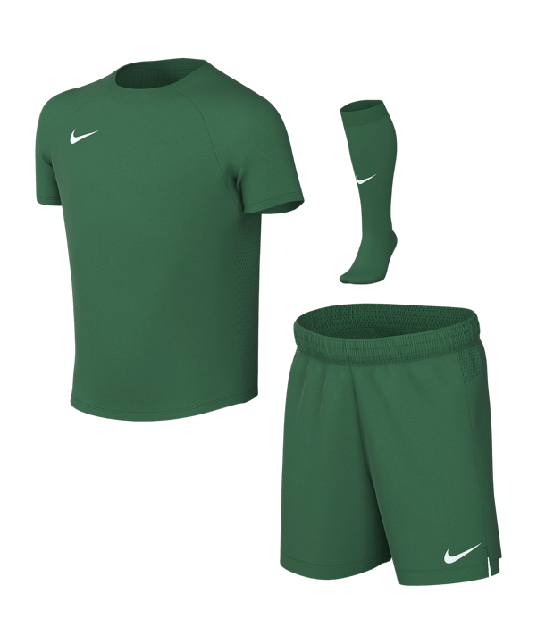 Nike Park VIII Trikot Set Kids Grün F302 