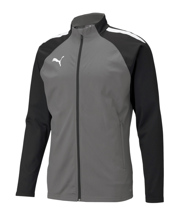 PUMA teamLIGA Trainingsjacke Grau Schwarz F13