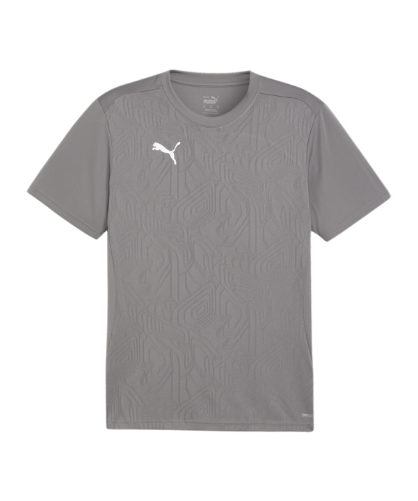 PUMA teamFINAL Trikot Grau F13