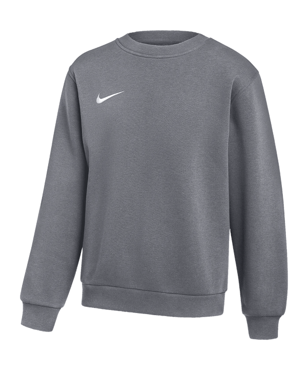 Nike Park 26 Sweatshirt Grau F071 