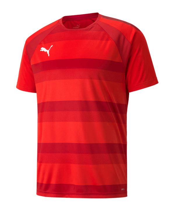 PUMA teamVISION Trikot Rot F01 - rot