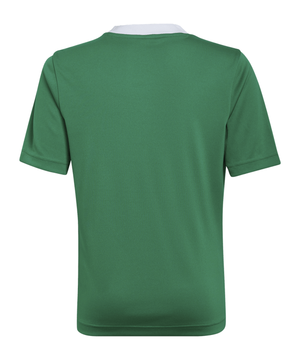 adidas Entrada 22 Trikot Kids Grün - gruen