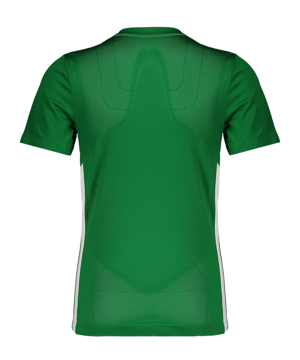 Nike Park Derby IV Trikot Kids Grün F302 - gruen