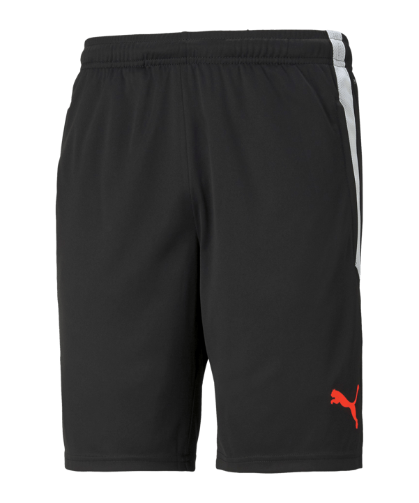 PUMA teamLIGA Short Schwarz Rot F41