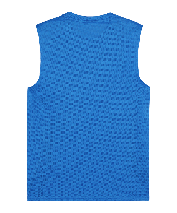PUMA teamGOAL Tanktop Blau Weiss F02 - blau