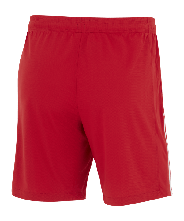 Nike Türkei Short EM 2024 Rot Weiss F687 - rot