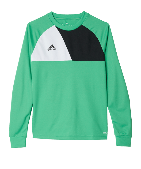 adidas Assita 17 langarm Shirt Kids Grün Weiss - gruen