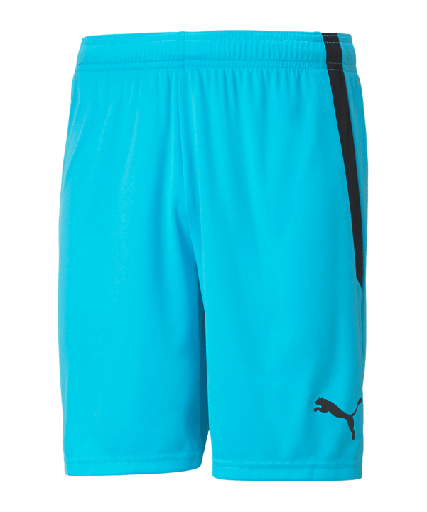 PUMA teamLIGA Short Kids Blau Schwarz F40