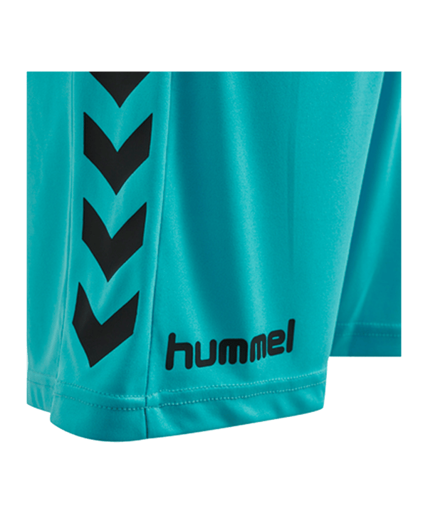 Hummel Core GK Torwarttrikotset Kids Blau F7905 - blau