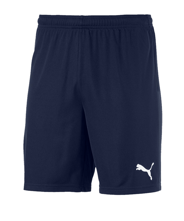 PUMA teamGOAL 23 Knit Short Blau F06
