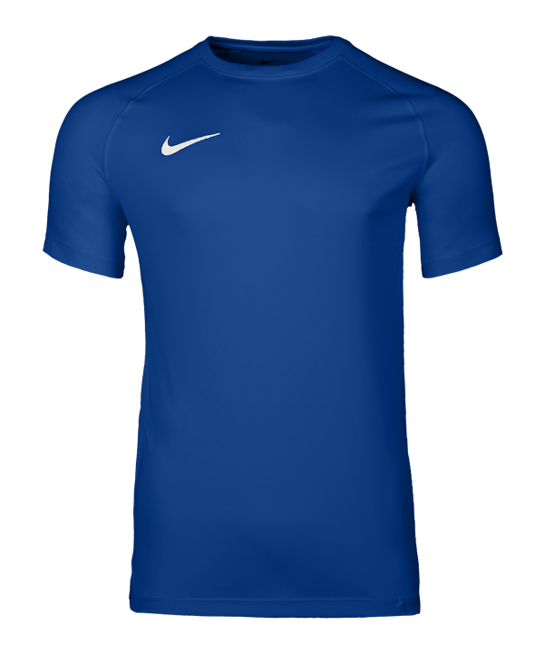 Nike Park VIII Trikot Blau F463 