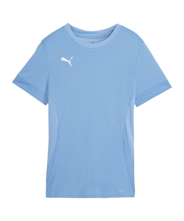 PUMA teamGOAL Matchday Trikot Damen Blau Weiss F18