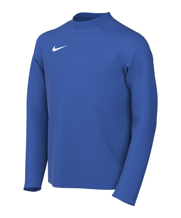 Nike Park VIII Trikot langarm Kids Blau F463 