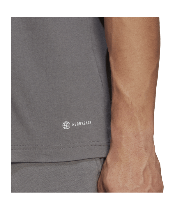 adidas Entrada 22 T-Shirt Grau - grau