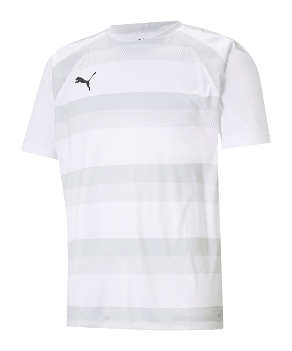PUMA teamVISION Trikot Weiss Grau F04