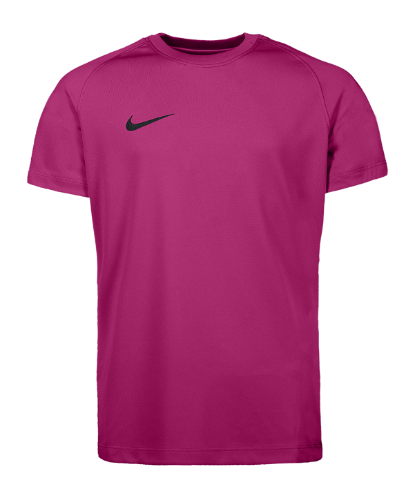 Nike Park VIII Trikot Kids Rosa F616 